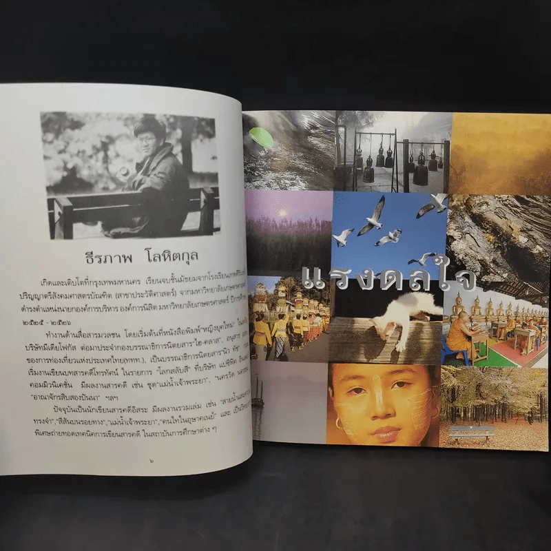 แรงดลใจ - ธีรภาพ โลหิตกุล รูปที่ 11