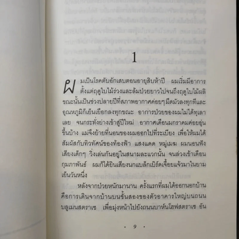 The Reader - เบิร์นฮาร์ด ชลิงค์ รูปที่ 11