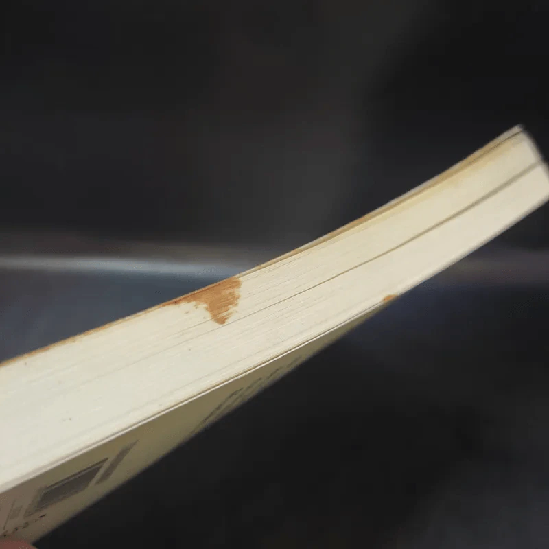 The Reader - เบิร์นฮาร์ด ชลิงค์ รูปที่ 13