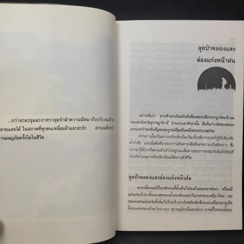 คนเดินป่า - สุรจิต จามรมาน รูปที่ 11