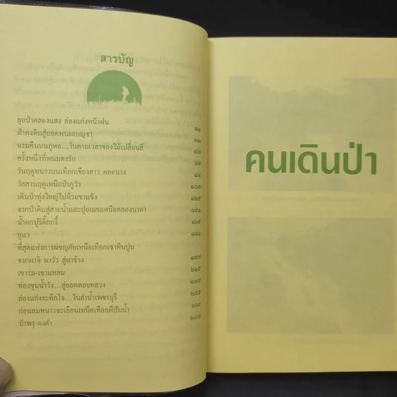 คนเดินป่า - สุรจิต จามรมาน รูปที่ 10