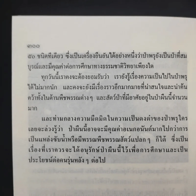 คนเดินป่า - สุรจิต จามรมาน รูปที่ 12