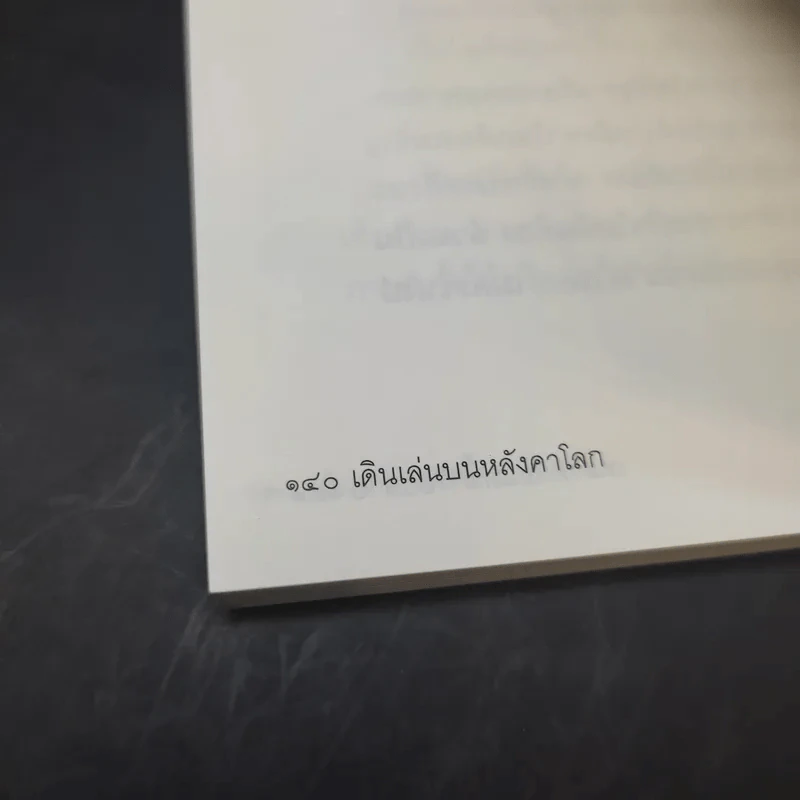 เดินเล่นบนหลังคาโลก - เพลงดาบแม่น้ำร้อยสาย รูปที่ 13