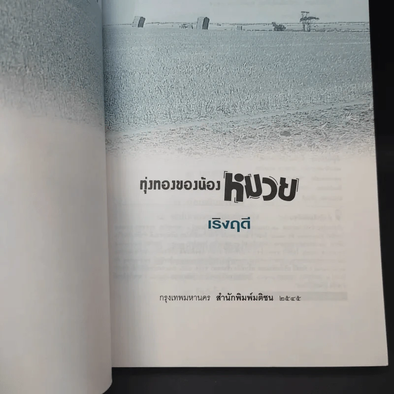 ทุ่งทองของน้องหมวย - เริงฤดี รูปที่ 7