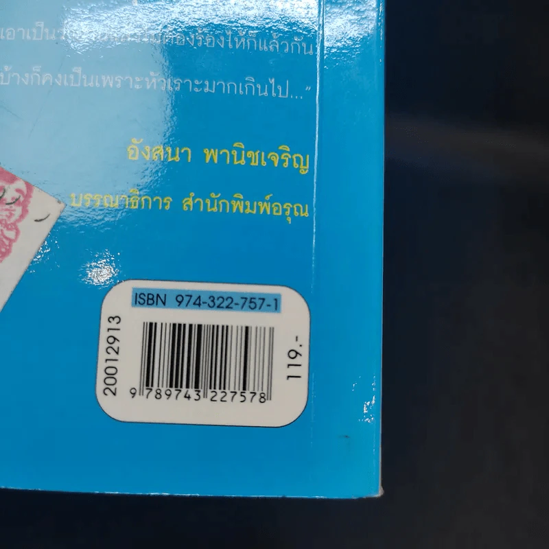 ทุ่งทองของน้องหมวย - เริงฤดี รูปที่ 11