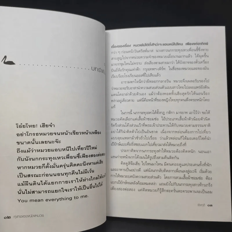ทุ่งทองของน้องหมวย - เริงฤดี รูปที่ 9