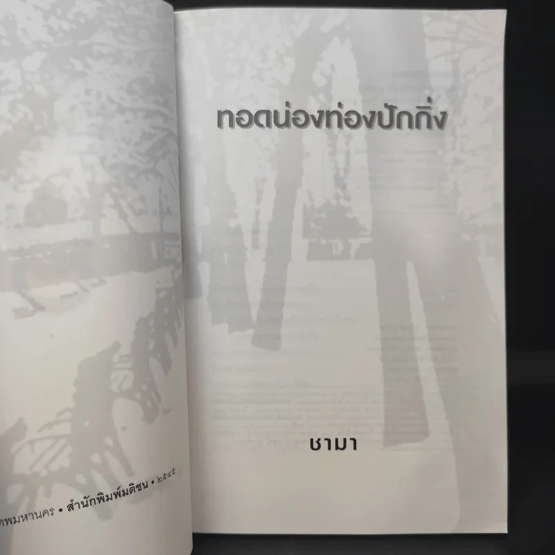 ทอดน่อง ท่องปักกิ่ง - ชามา รูปที่ 8