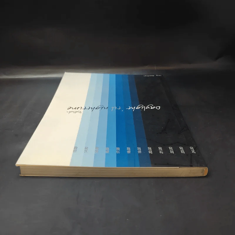 วันยันค่ำ Daylight 'Til Nighttime - กรกฎ พัลลภรักษา รูปที่ 6