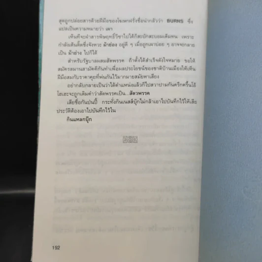 ภูมิปัญญาจากโต๊ะจีน ชุด แง้มม่านดูมังกร - เล่าชวนหัว รูปที่ 11