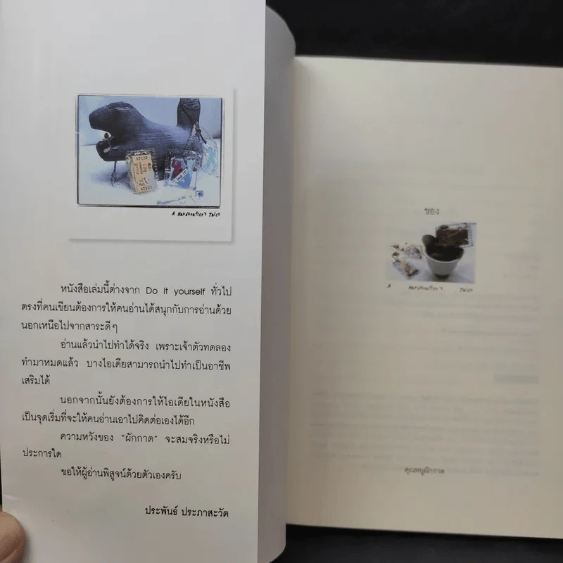 ของ D.I.Y.ขายมุข จากคอลัมน์ช่วยกันทำ - คุณหนูผักกาด รูปที่ 9