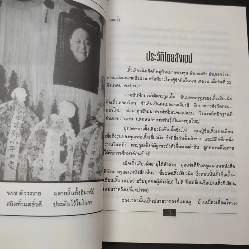 วาทะเติ้ง - ใบไผ่เขียว รูปที่ 11