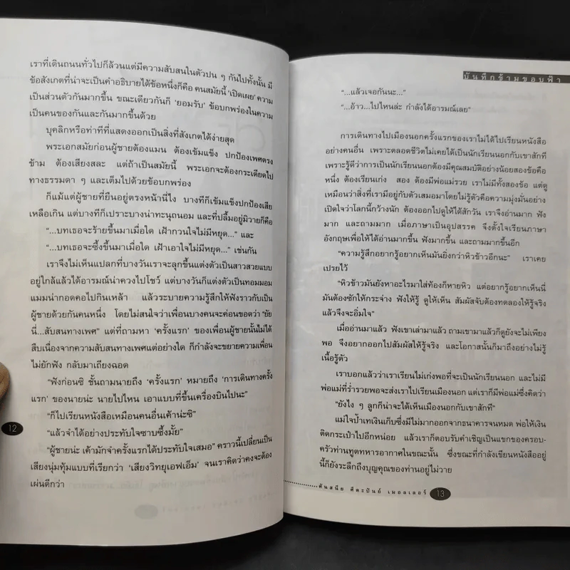 บันทึกข้ามขอบฟ้า - ศันสนีย ศีตะปันย์ เมอลเลอร์ รูปที่ 12