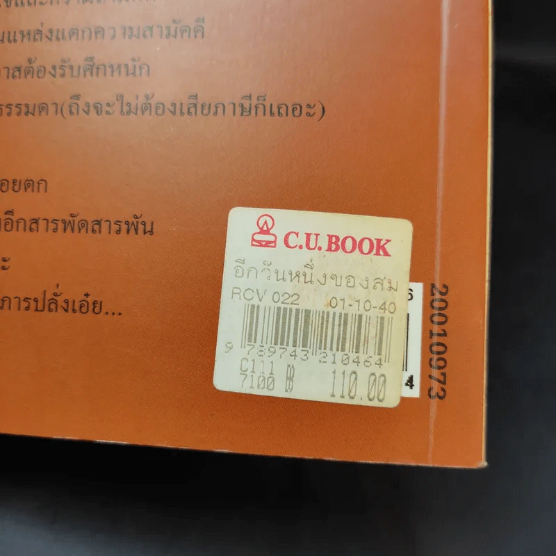 อีกวันหนึ่งของสมภารปลั่ง - วีห์ เพ็ชรอุไร รูปที่ 13