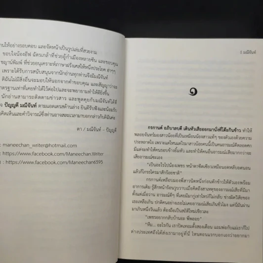 พันธะเถื่อน - มณีจันท์ รูปที่ 8