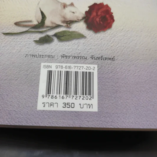 กุหลาบเกี่ยวใจ - กิ่งฉัตร รูปที่ 13