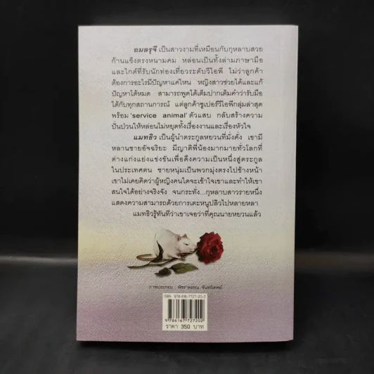 กุหลาบเกี่ยวใจ - กิ่งฉัตร รูปที่ 2