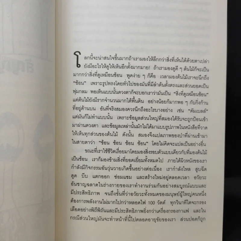 เคล็ดลับอายุยืนจากลำไส้ที่หมอไม่เคยบอกคุณ - Giulia Enders รูปที่ 11
