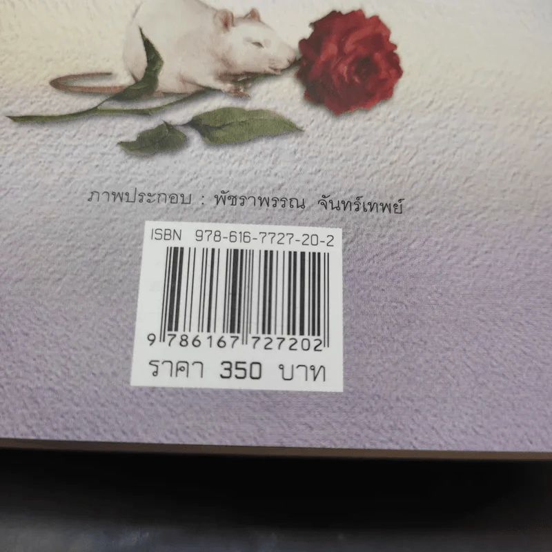 กุหลาบเกี่ยวใจ - กิ่งฉัตร รูปที่ 13