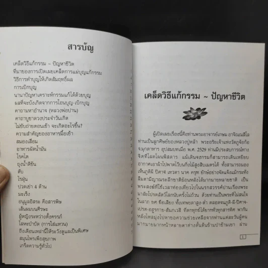 เคล็ดวิธี แก้กรรม-ปัญหาชีวิต กินอย่างไร-ไร้โรคภัย รูปที่ 10