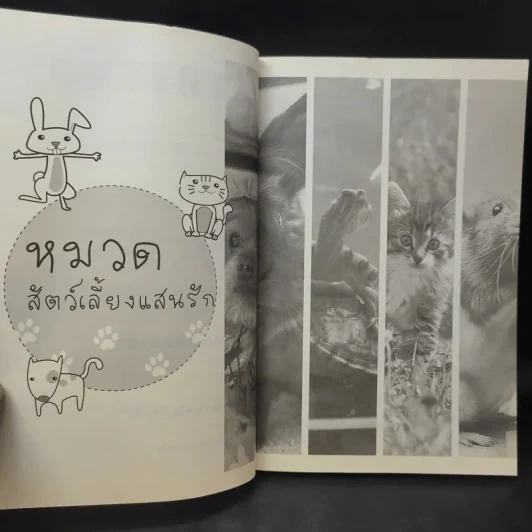 500 Tips for Happy Living! รูปที่ 12