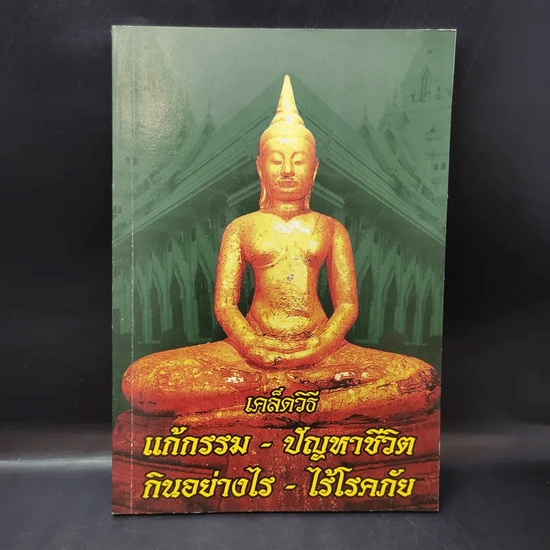 เคล็ดวิธี แก้กรรม-ปัญหาชีวิต กินอย่างไร-ไร้โรคภัย รูปที่ 1