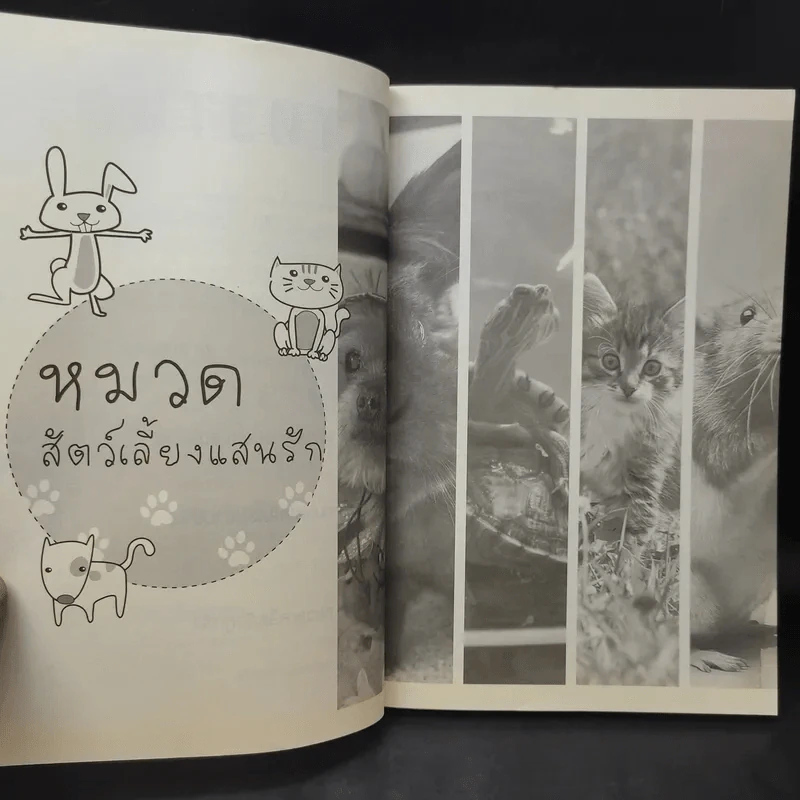 500 Tips for Happy Living! รูปที่ 12