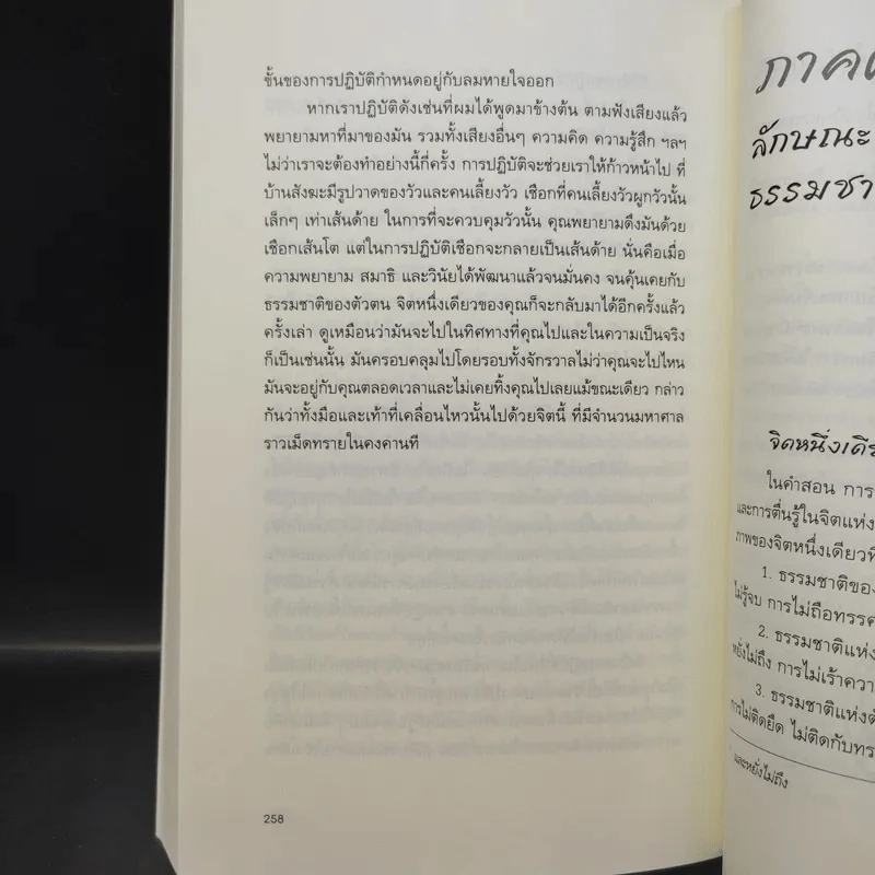 No Beginning No End : ไร้เริ่มต้น ไร้จุดจบ - Jakusho Kwong (จากุโช กวอง) รูปที่ 13