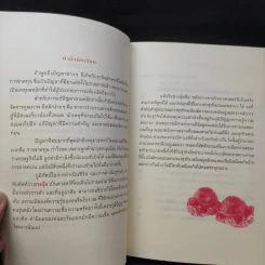 แก้ปัญหาธุรกิจและชีวิต ด้วยฮวงจุ้ย - มานพ ศิริชวลิต รูปที่ 10