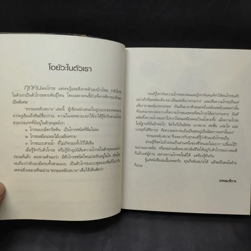 ธรรมะหลับสบาย - ว.วชิรเมธี รูปที่ 10