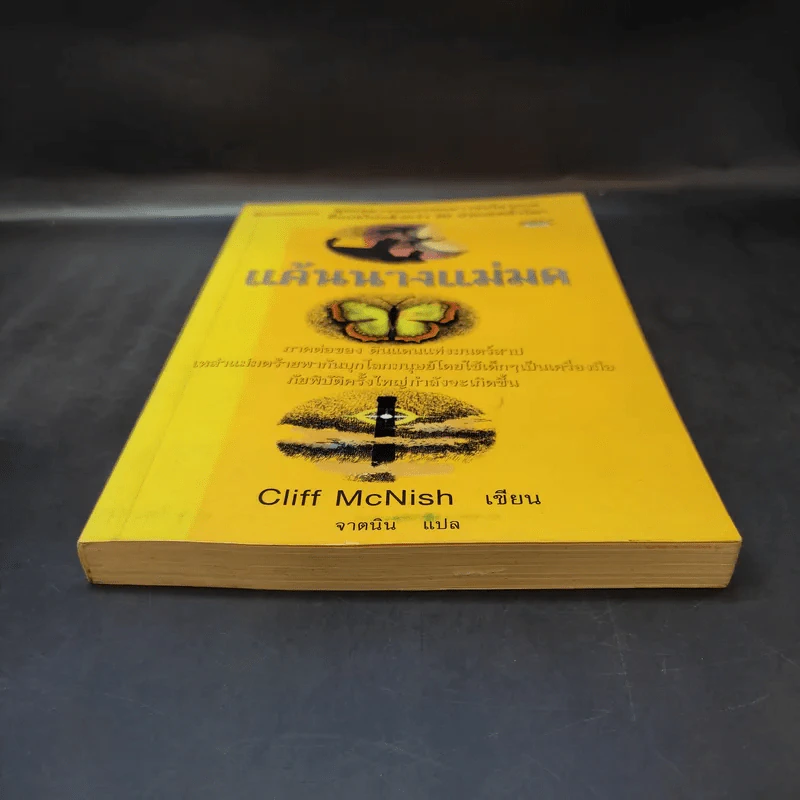 แค้นนางแม่มด  ภาคต่อของ ดินแดนแห่งมนตร์สาป - Cliff McNish รูปที่ 4