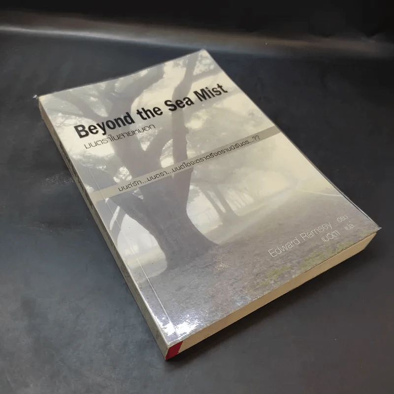 Beyond the Sea Mist มนตราในสายหมอก - Edward Ramsey รูปที่ 8