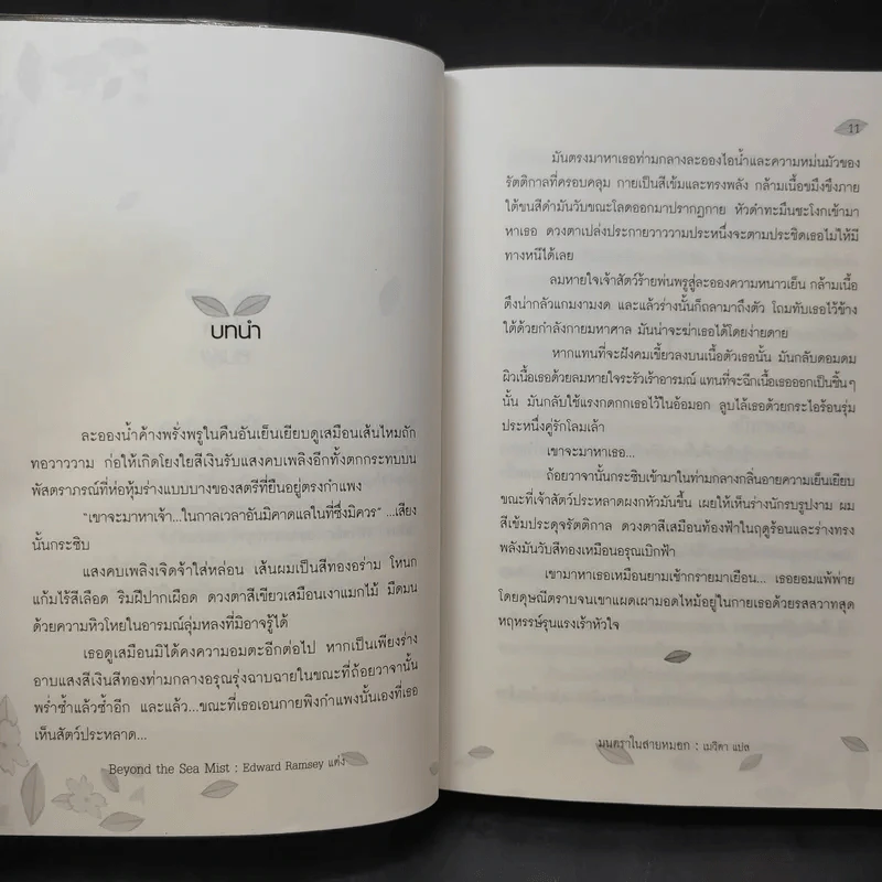 Beyond the Sea Mist มนตราในสายหมอก - Edward Ramsey รูปที่ 12