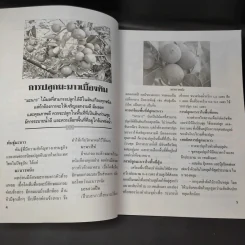 มะม่วง-มะนาว เร่งออกนอกฤดู รูปที่ 11