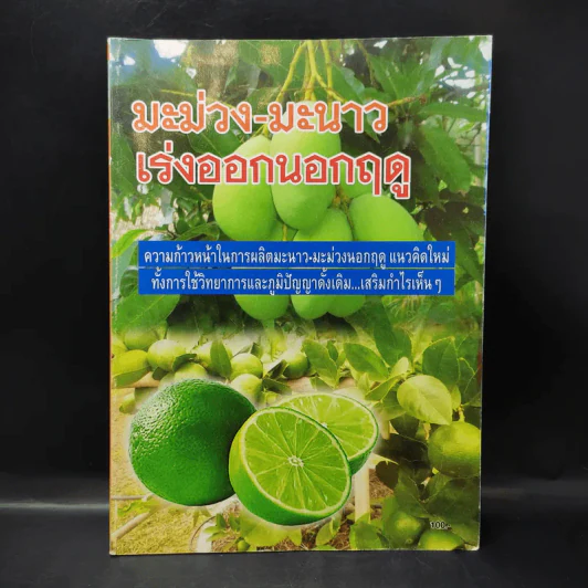 มะม่วง-มะนาว เร่งออกนอกฤดู รูปที่ 1