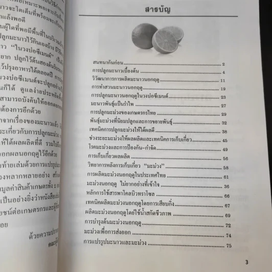 มะม่วง-มะนาว เร่งออกนอกฤดู รูปที่ 10
