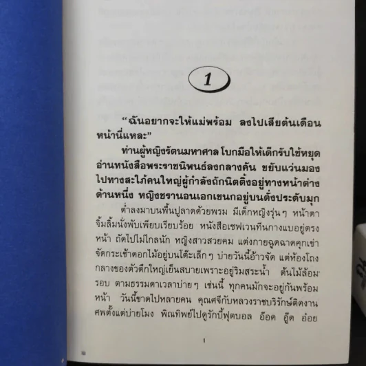 มัสยา 2 เล่มจบ - พนมเทียน รูปที่ 10
