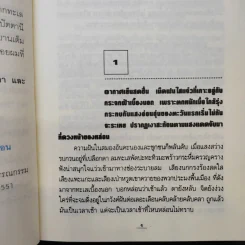 กัลปังหา - พนมเทียน รูปที่ 10