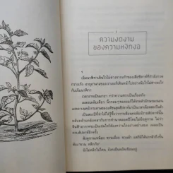 ความสุขโดยสังเกต - นิ้วกลม รูปที่ 12
