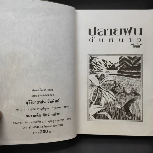 ปลายฝนต้นหนาว - โบตั๋น รูปที่ 10
