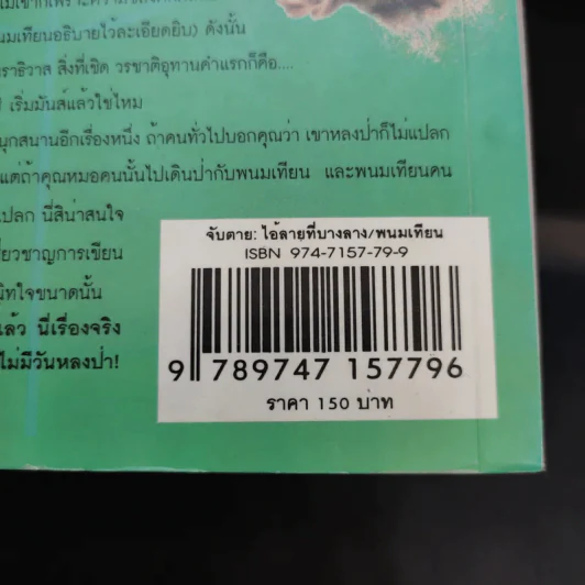 จับตาย: ไอ้ลายที่บางลาง - พนมเทียน รูปที่ 13