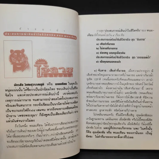 จับตาย: ไอ้ลายที่บางลาง - พนมเทียน รูปที่ 10
