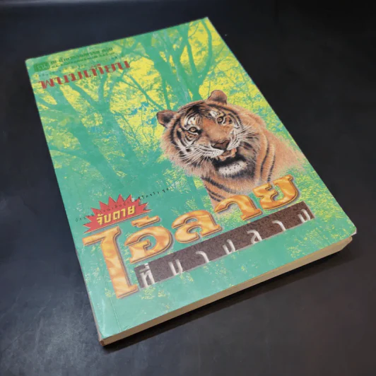 จับตาย: ไอ้ลายที่บางลาง - พนมเทียน รูปที่ 8