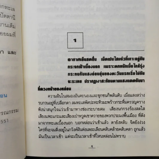 กัลปังหา - พนมเทียน รูปที่ 10