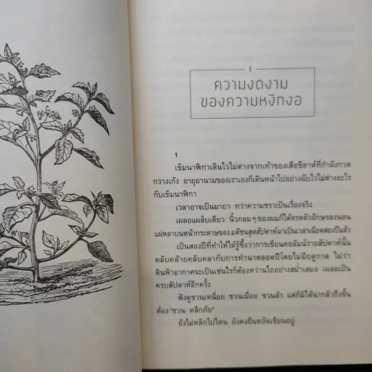 ความสุขโดยสังเกต - นิ้วกลม รูปที่ 12