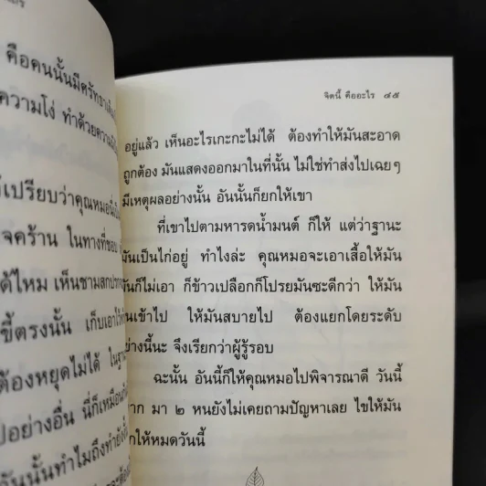 จิตนี้คืออะไร - พระโพธิญาณเถร (ชา สุภทโท) รูปที่ 12