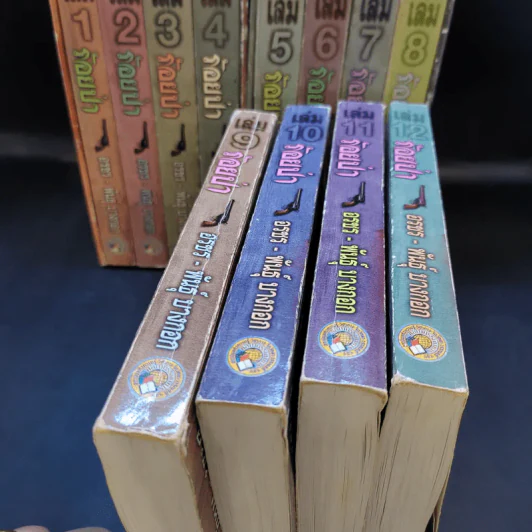 Boxset ร้อยป่า 12 เล่มจบ - อรชร พันธุ์ บางกอก รูปที่ 9