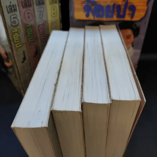Boxset ร้อยป่า 12 เล่มจบ - อรชร พันธุ์ บางกอก รูปที่ 8