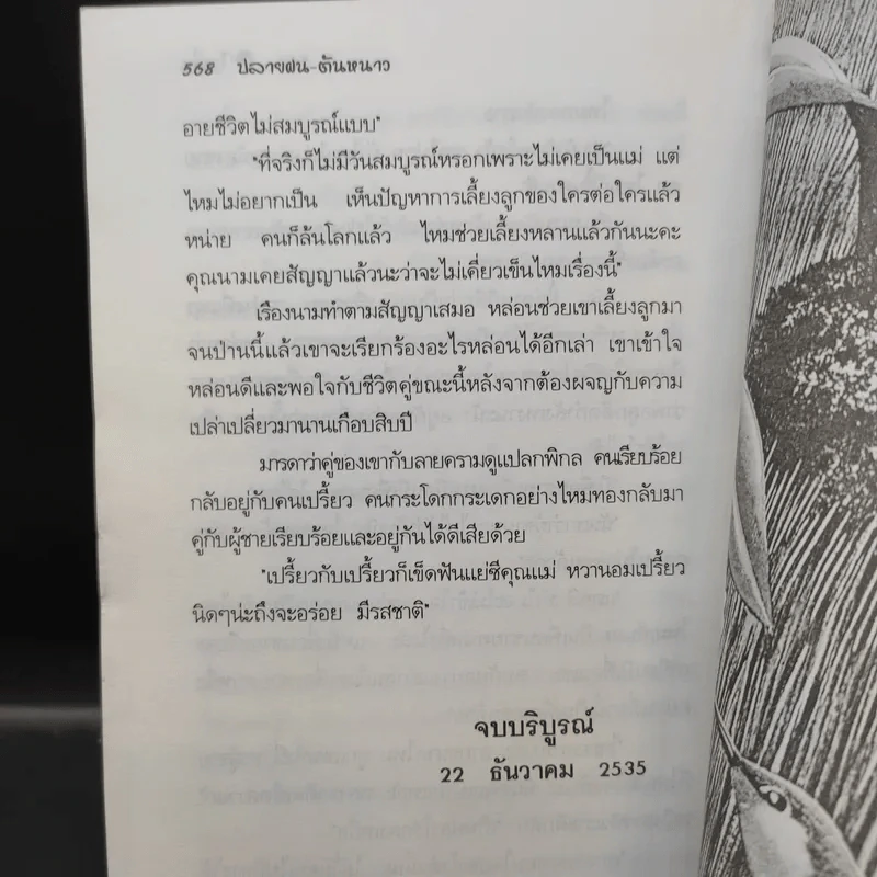 ปลายฝนต้นหนาว - โบตั๋น รูปที่ 12