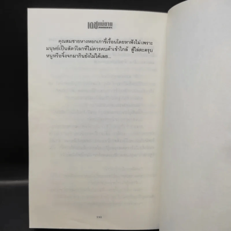 เดชแม่ยาย - กนกเรขา รูปที่ 11