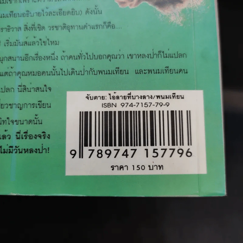 จับตาย: ไอ้ลายที่บางลาง - พนมเทียน รูปที่ 13